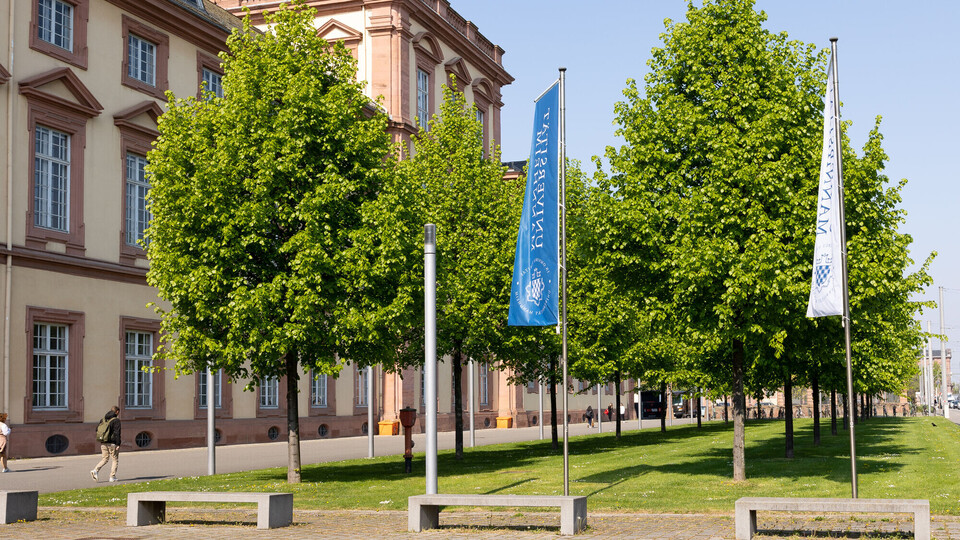 Frühlingsimpressionen Außenansicht des Mannheimer Schloss. Davor Bäume auf einer Wiese und zwei wehende Universitätsflaggen.