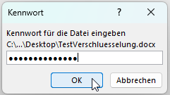 Screenshot Kennworteingabe zum Öffnen desd Dokuments
