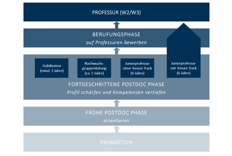 Die verschiedenen Abschnitte der Postdoc-Phase: Promotion, frühe Postdoc-Phase, fortgeschrittene Postdoc-Phase, Berufungsphase, Professur