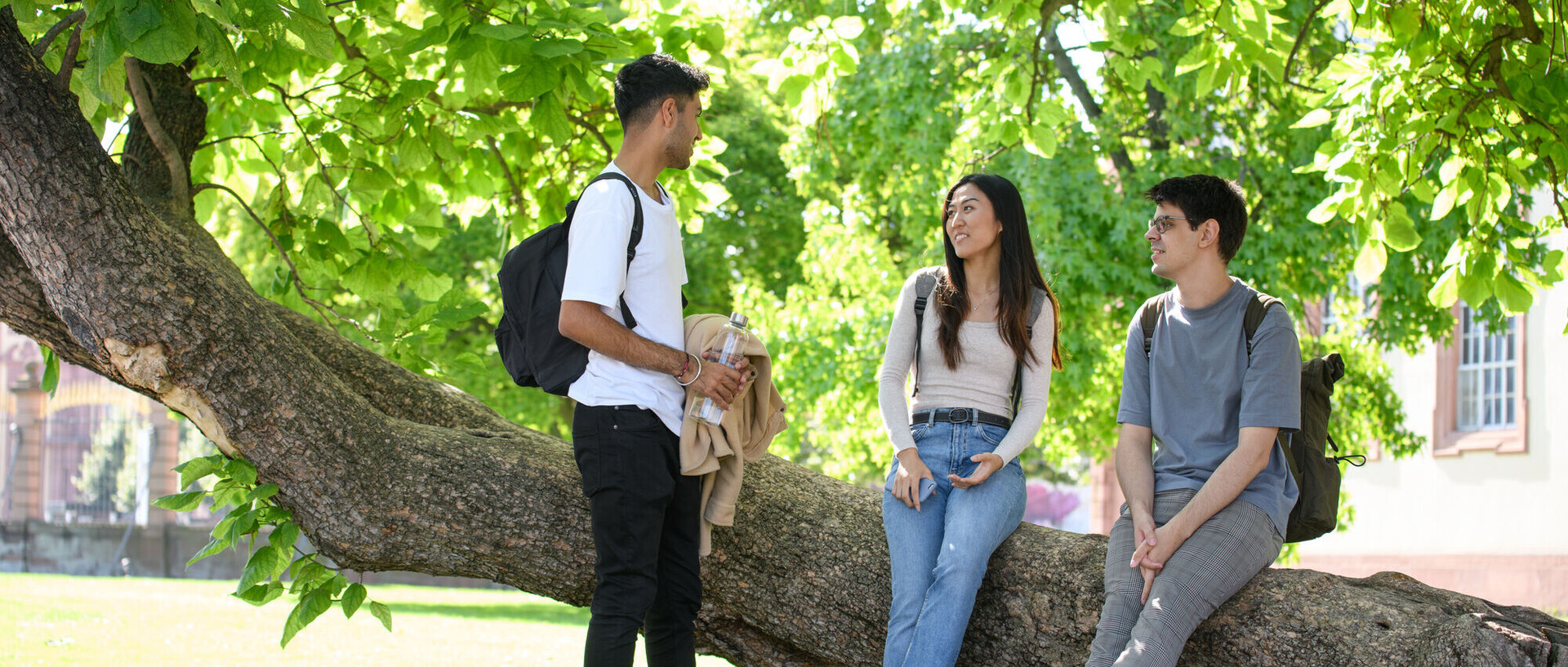 Campus life, students on Mensa lawn, students