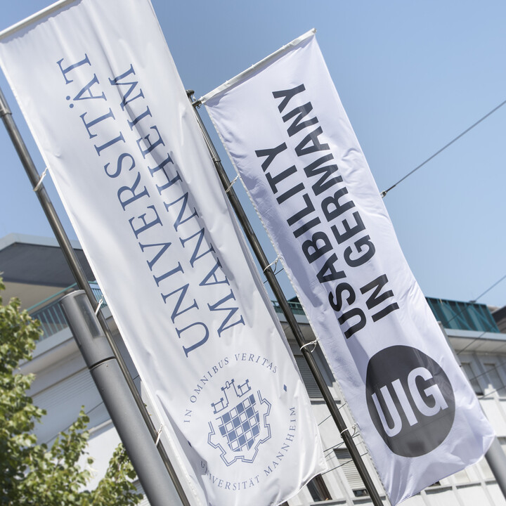 Flaggen der Uni Mannheim sowie der Usability in Germany.