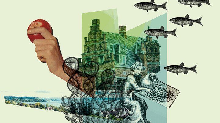 Collage aus Fischen, Gebäuden etc.